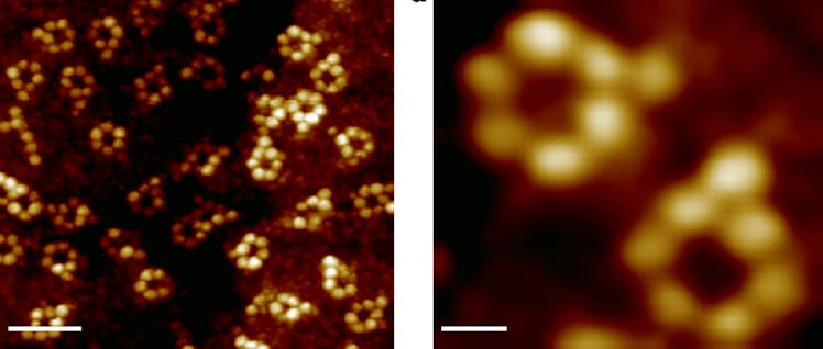 close-up image of interlocking ring-shaped molecules