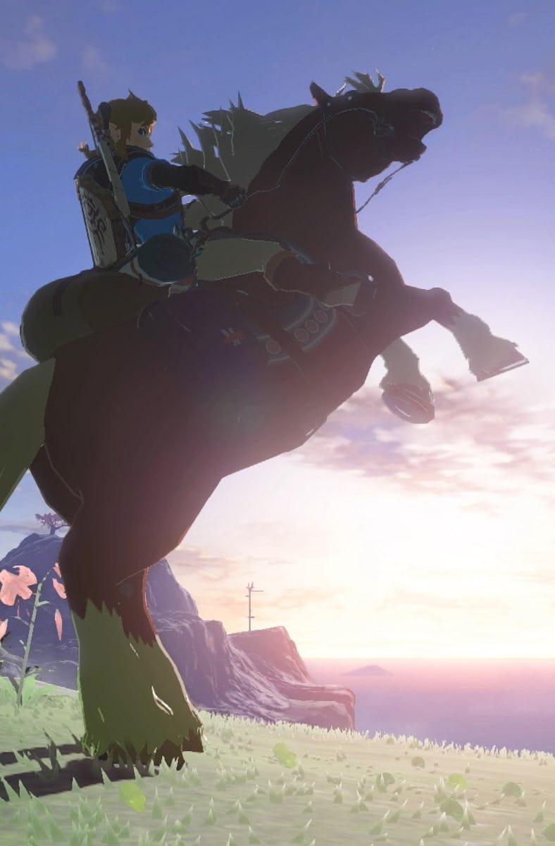 Tears of the Kingdom Link on horse.