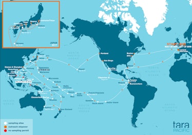 A map of the Tara Pacific sea voyage