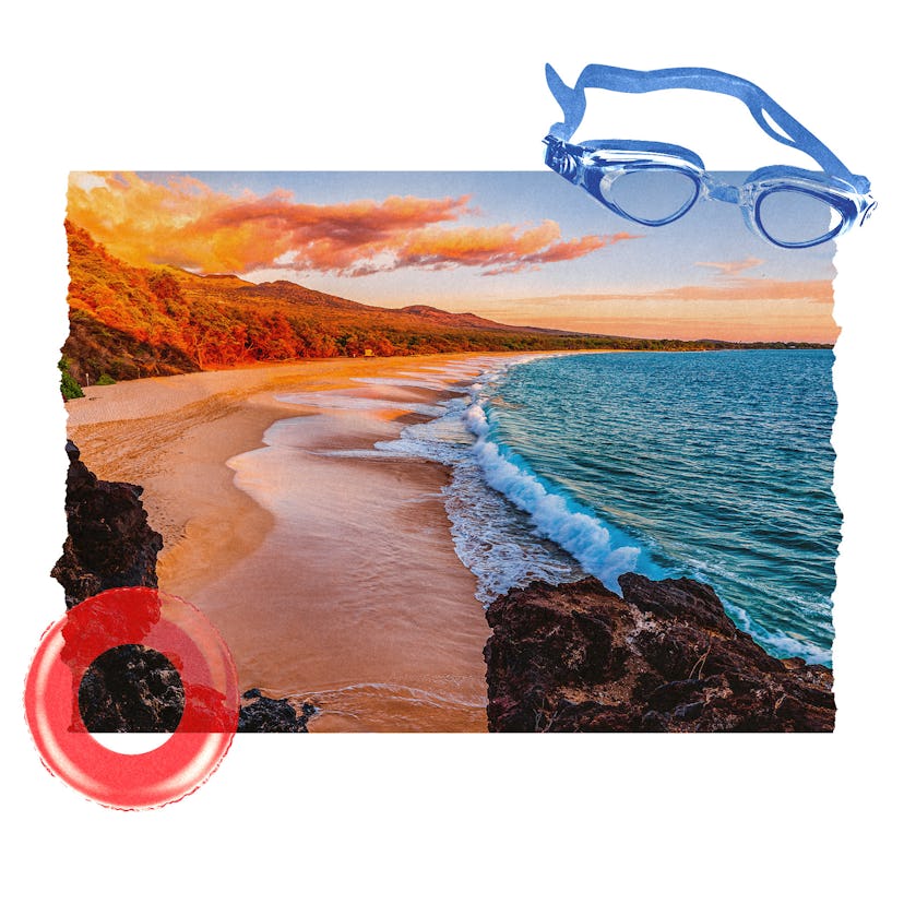 93a08a65 ae51 4a7d a8cb 8df08de5d7dd hawaii 93a08a65 ae51 4a7d a8cb 8df08de5d7dd hawaii