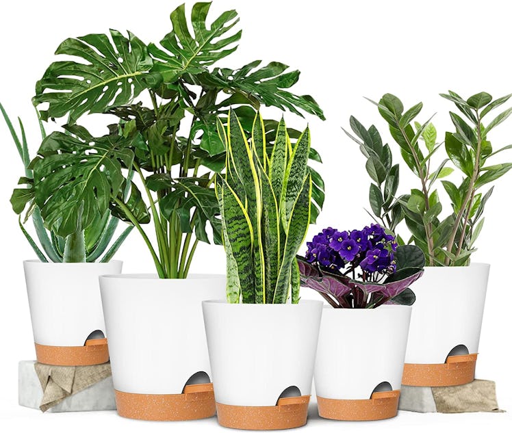 GARDIFE Self Watering Planters (5-Pack)