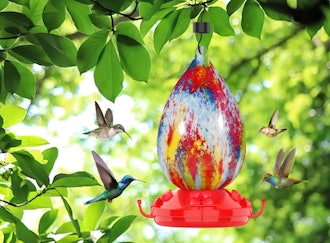 Rayhome Hummingbird Feeder