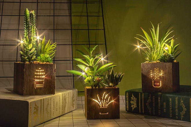 BEGONDIS Artificial Succulents with LED Lights (3-Pack)