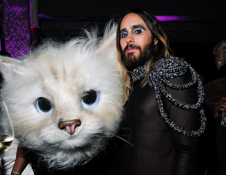 Jared Leto and cat head. 