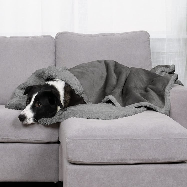 Furhaven Waterproof & Self-Warming Dog Blanket