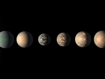 A size comparison of the planets of the TRAPPIST-1 system.