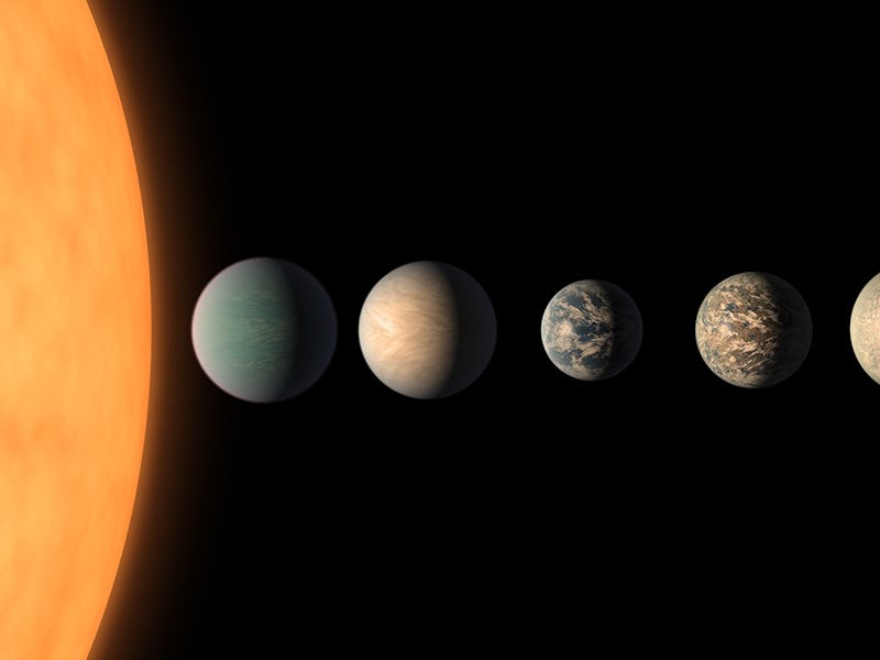 A size comparison of the planets of the TRAPPIST-1 system.