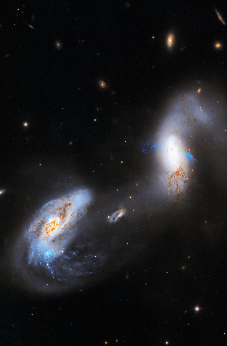 color image of two galaxies, mostly in shades of blue and white, on a black background spangled with...