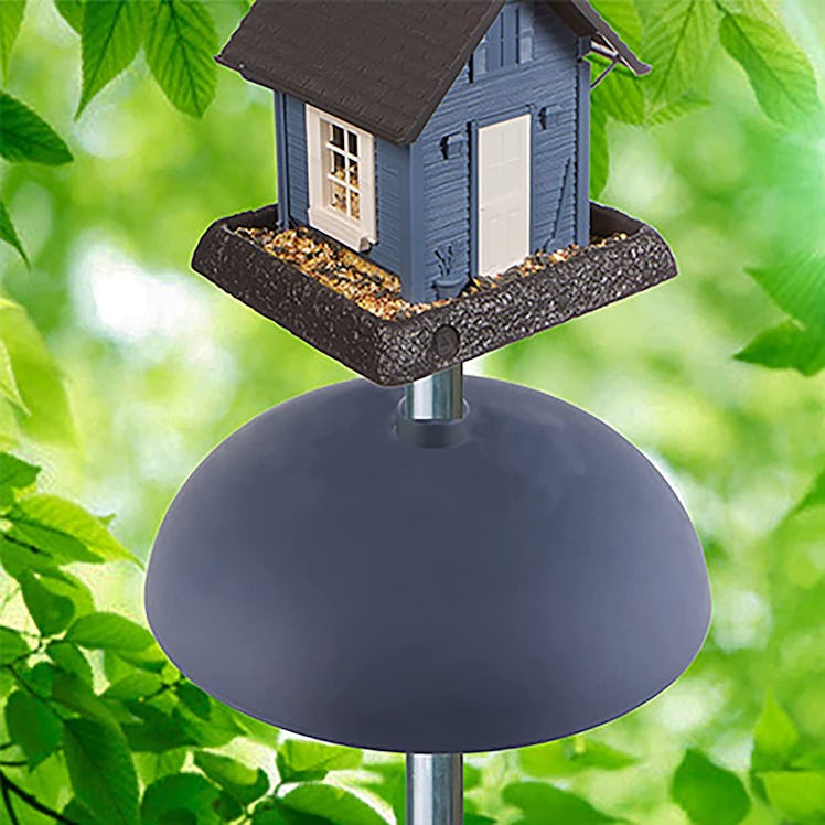 North States Two-Way Squirrel Baffle
