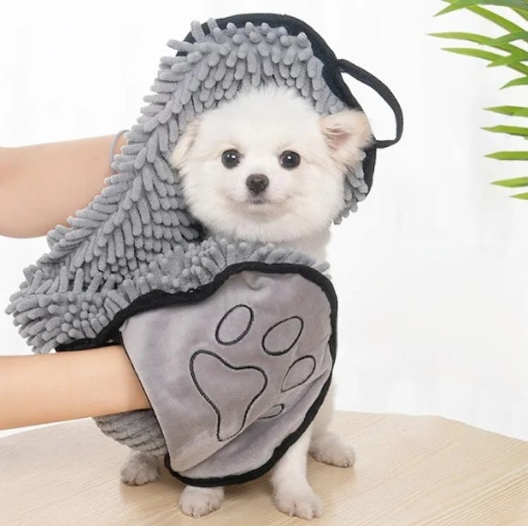 Absorbent Pet Towel