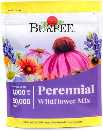Burpee Wildflower Seeds, Perennial Mix (18 Varieties)
