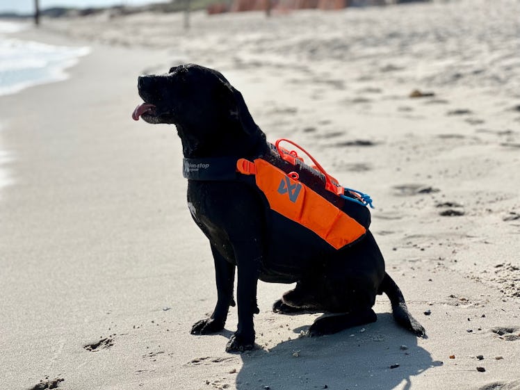 The Protector life jacket