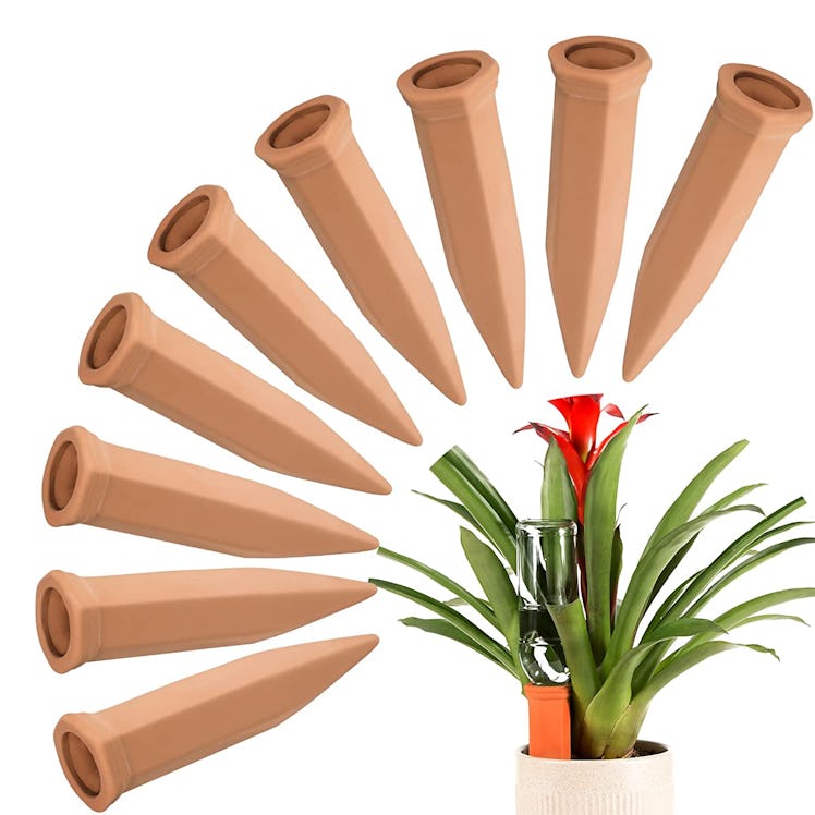 FAMILy Plant Watering Stakes (10-Pack) 