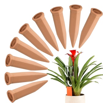 FAMILy Plant Watering Stakes (10-Pack) 
