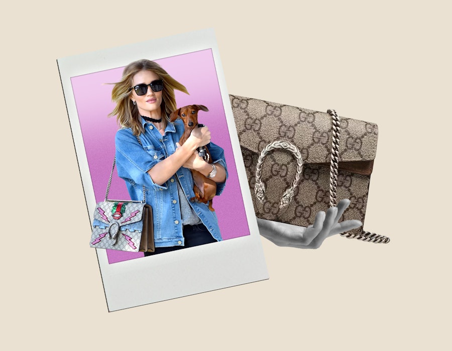 Rosie Huntington-Whiteley wears a blue denim shirt and carries a dog while a Gucci Dionysus bag is s...