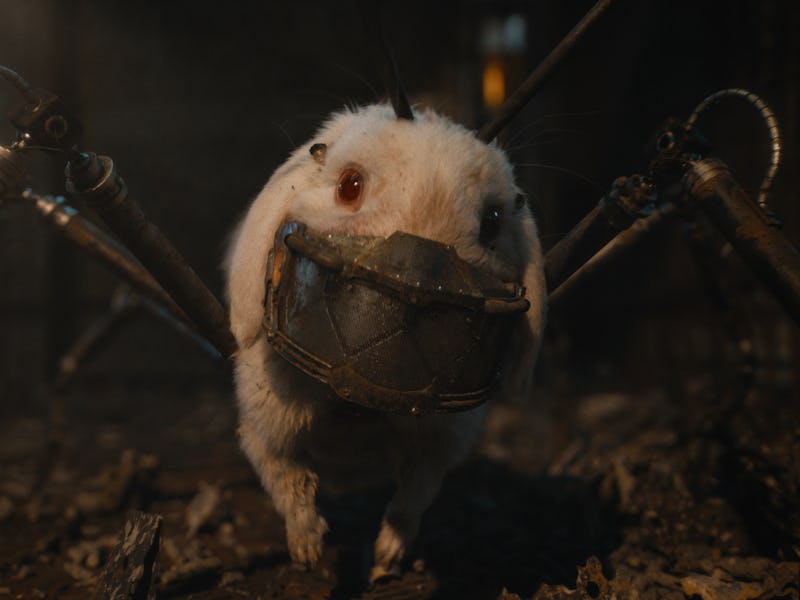 Floor the rabbit in 'Guardians of the Galaxy Vol. 3'