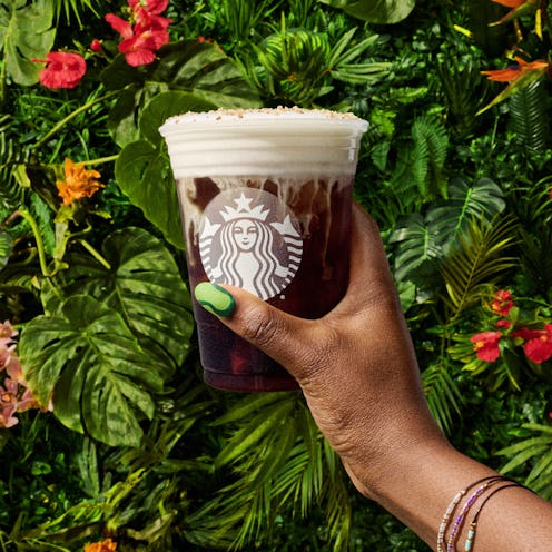 Starbucks' new seasonal menu items for summer 2023 include two new cold coffee drinks.