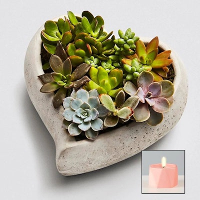 Sweet Succulent Heart Garden with Candle