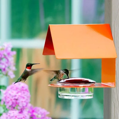 latitute run modern hummingbird feeder is a great gift for gardener
