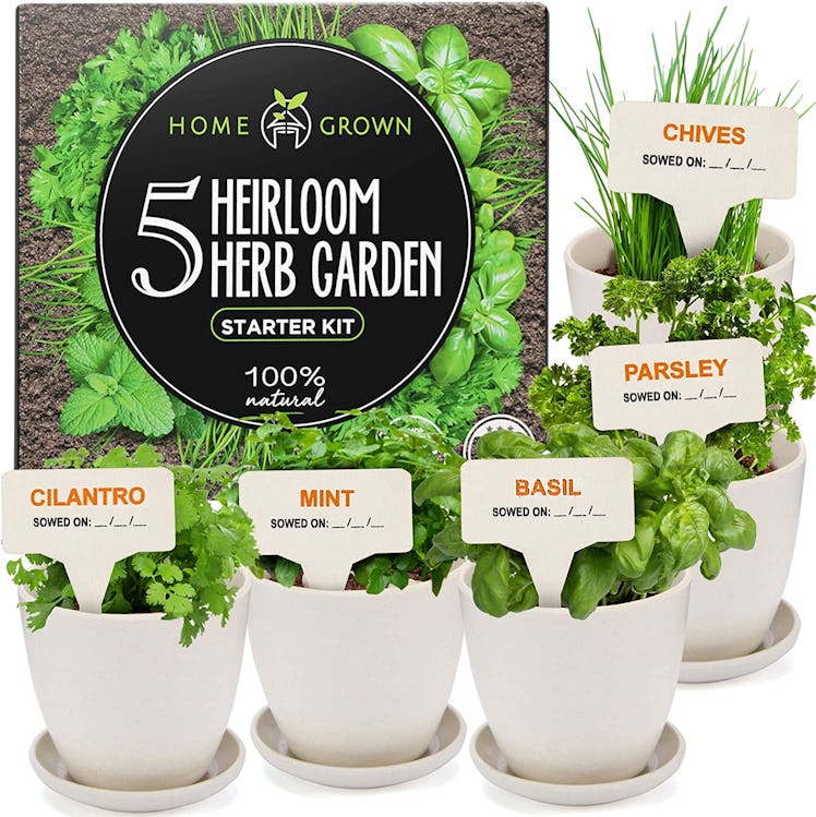 Home Grown Heirloom Herb Garden Starter Kit 
