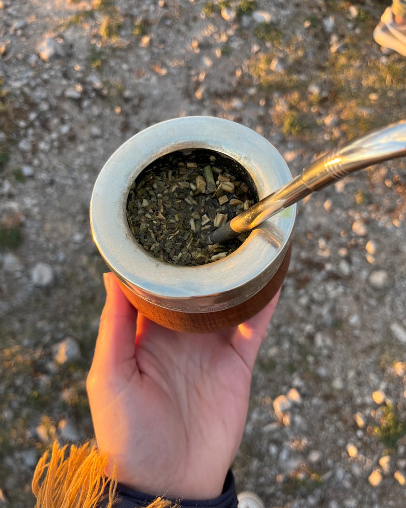 mate tea in argentina