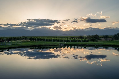 The Vines resort in Mendoza, Argentina