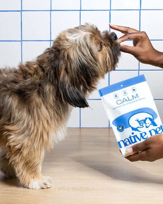 Calm Chicken Chews (60 Count)