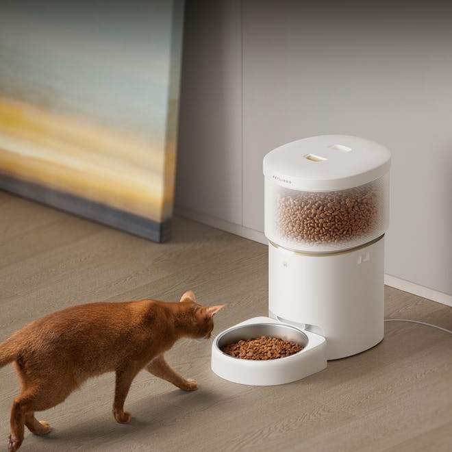 Space Automatic Pet Feeder