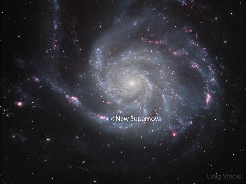 photo of a white and silver galaxy on a black background, with the location of a new supernova marke...