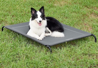 Bedsure Original Elevated Dog Bed