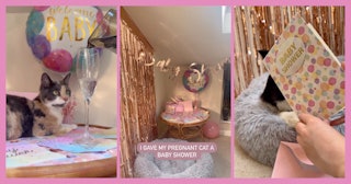 A woman threw her pregnant cat an adorably elaborate baby shower, and the internet came after her fo...