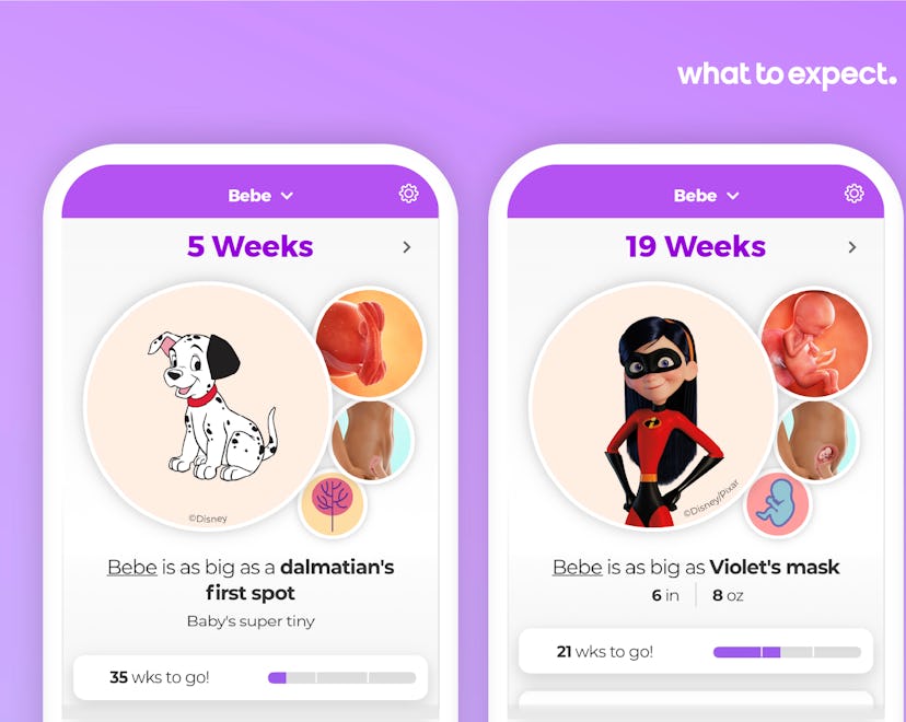 What to expect app disney baby comparisons