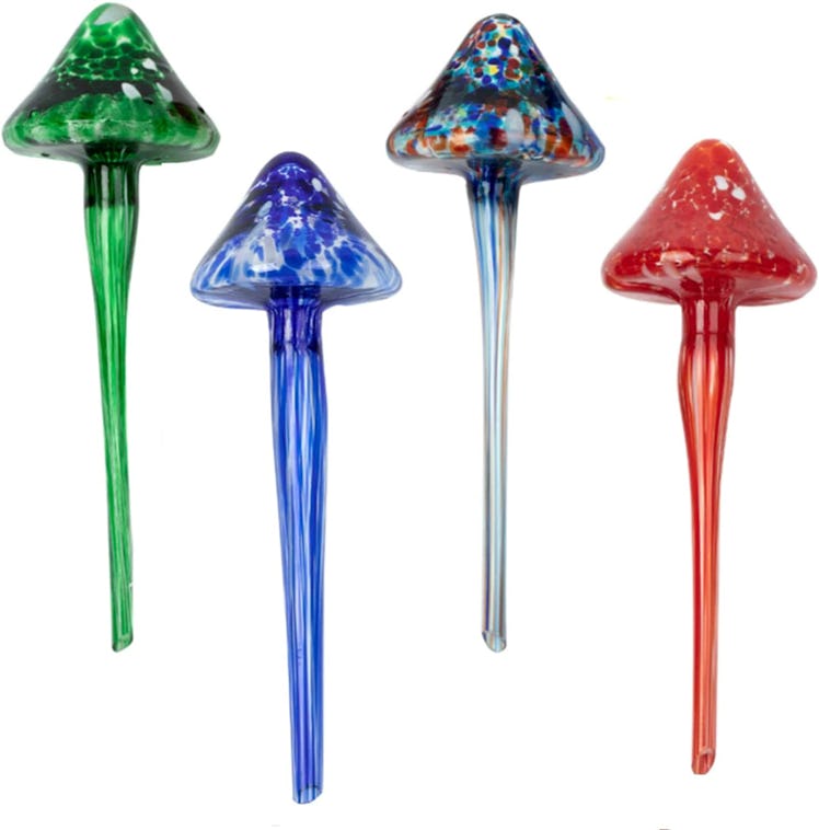 SUCOLE Self Watering Globes