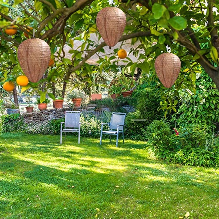 DECYOOL Wasp Decoy Nests (6-Pack)