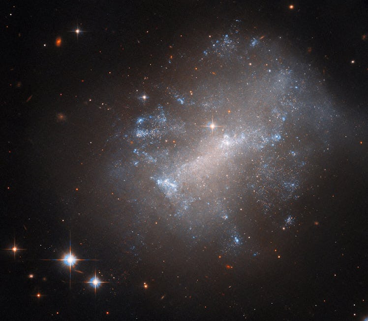 A galaxy fills up most of the frame from the right. It is fuzzy and diffuse, but made up of numerous...