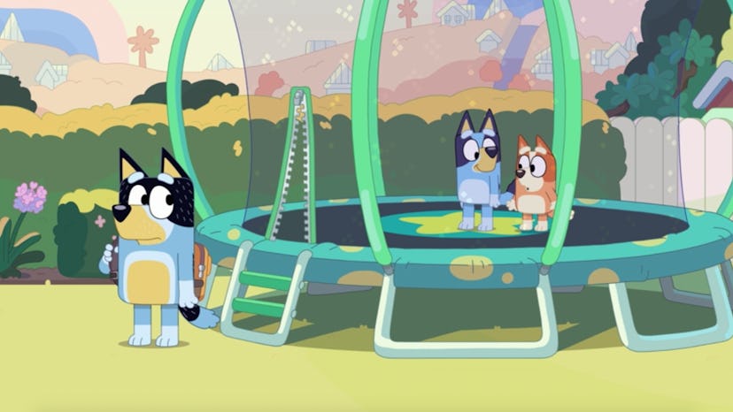 Bandit looks at Bluey and Bingo on a trampoline.