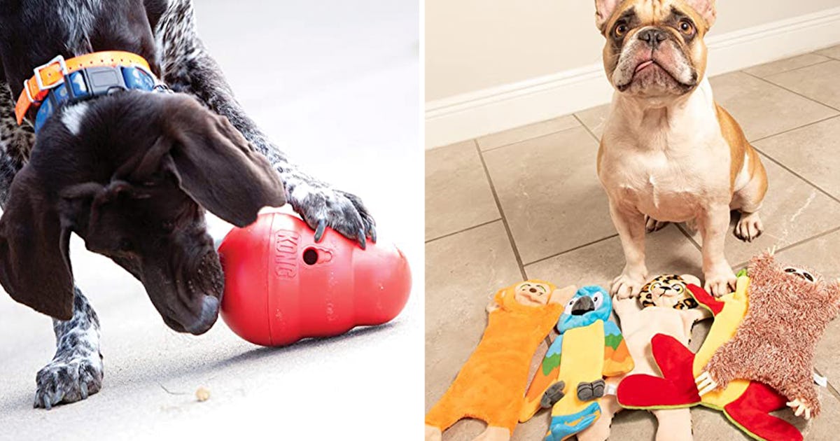 Trainers Use These Tricks To Make Dogs Behave So Much Better You trainers-use-these-tricks-to-make-dogs-behave-so-much-better-you