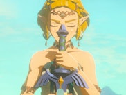 Zelda holding the master sword