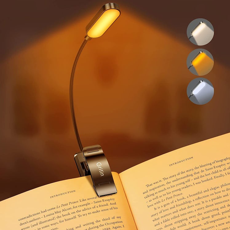 Gritin 16 LED Rechargeable Book Light