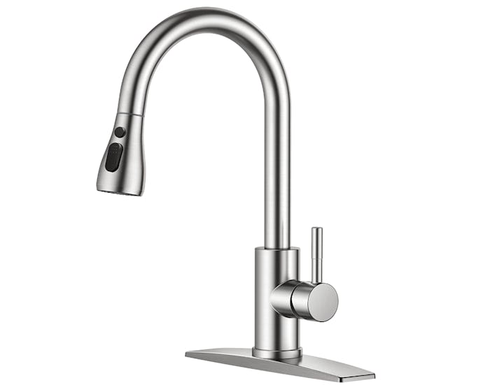 FORIOUS Kitchen Faucet with Pull Down Sprayer