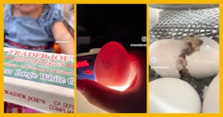 TikTok creator Rachel Anne (@findingmom.me) recently posted a viral video that shows her hatching ch...