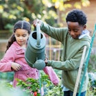 Two children water plants in a garden.