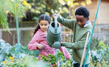 Two children water plants in a garden.