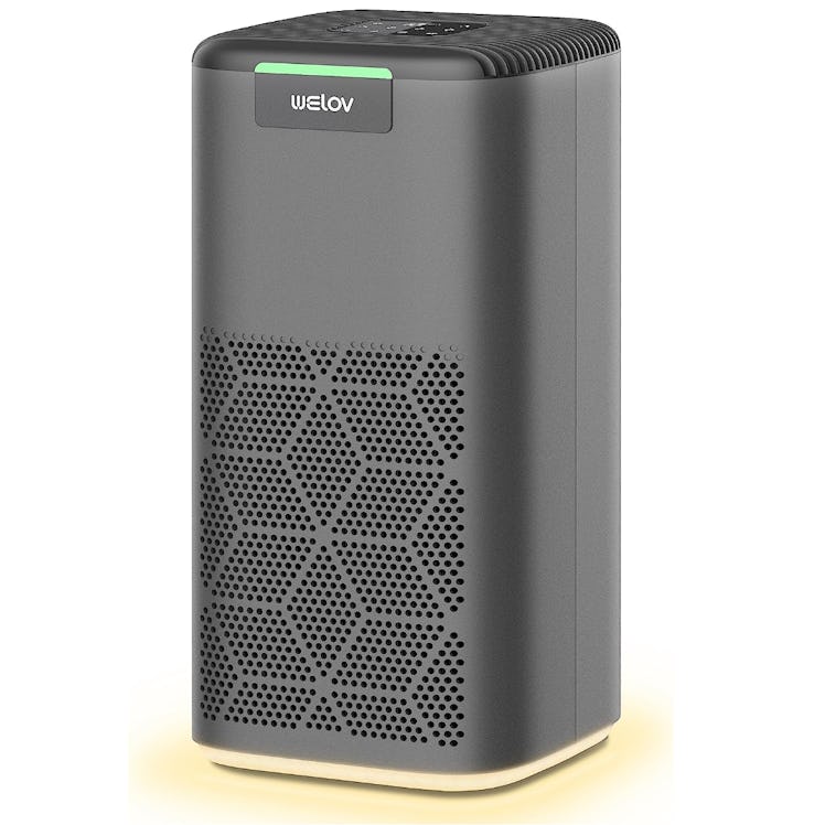 Welov Air Purifier