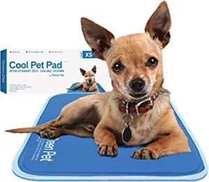 The Green Pet Shop Dog Cooling Mat