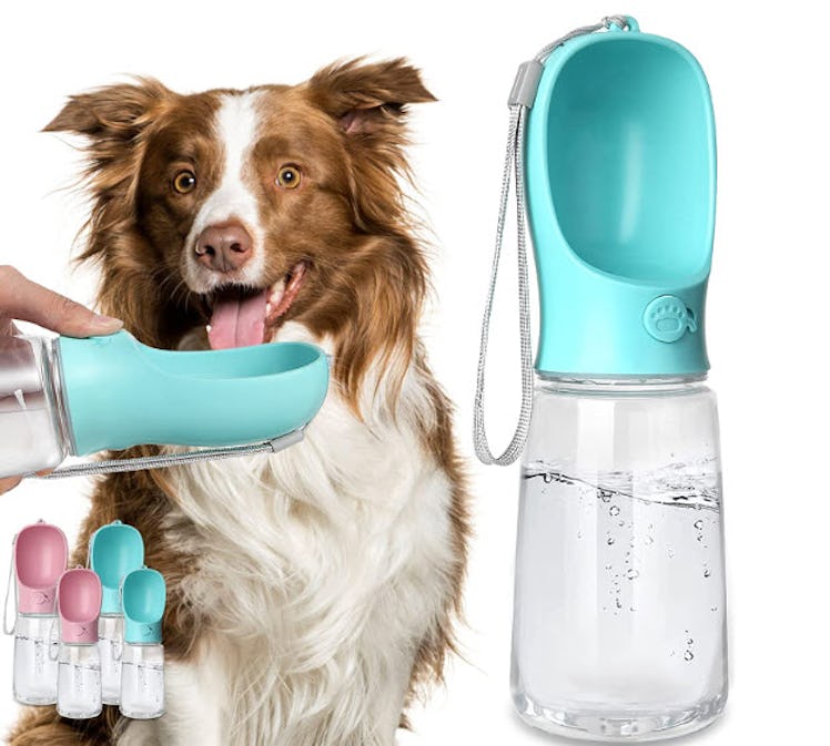 Kalimdor Dog Water Bottle