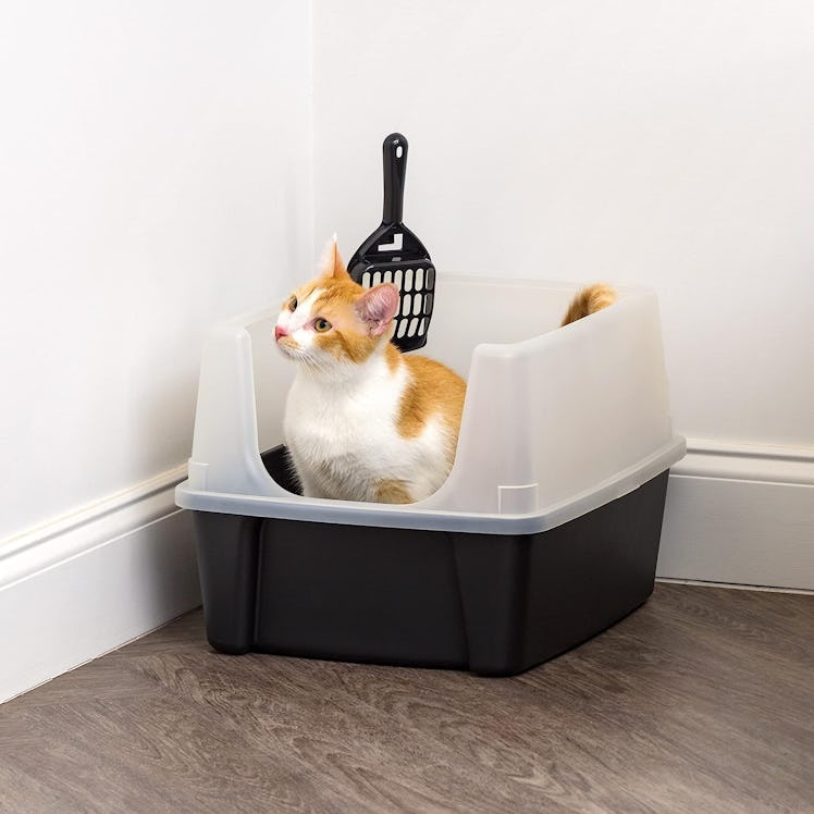 Iris Open Top Cat Litter Box