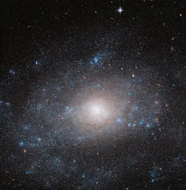 This galaxy has a hazy appearance, and is very spherical. Scientists think this galaxy is held toget...