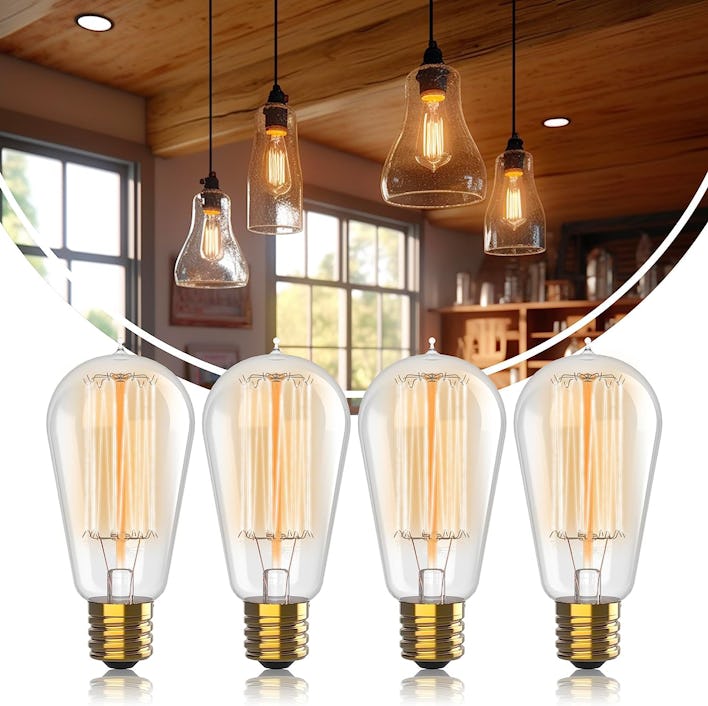 Vintage Incandescent Edison Light Bulbs (4-Pack)