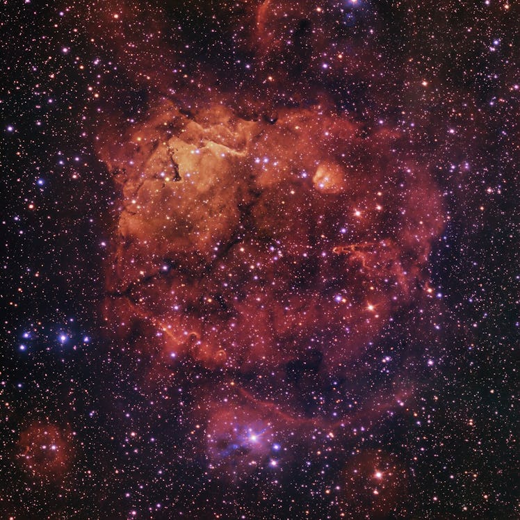 image of an orange and red cloud of gas and stars in space, shaped vaguely like a cat's face.